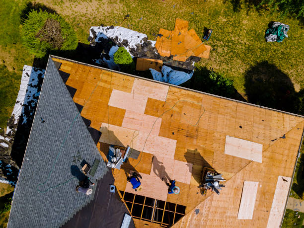 Best Shingle Roofing Installation  in Guyton, GA