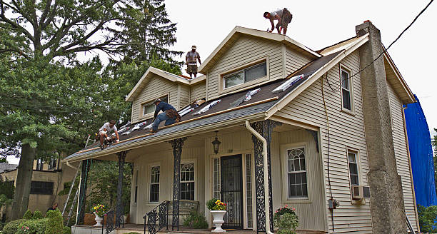 Best Roof Gutter Cleaning  in Guyton, GA